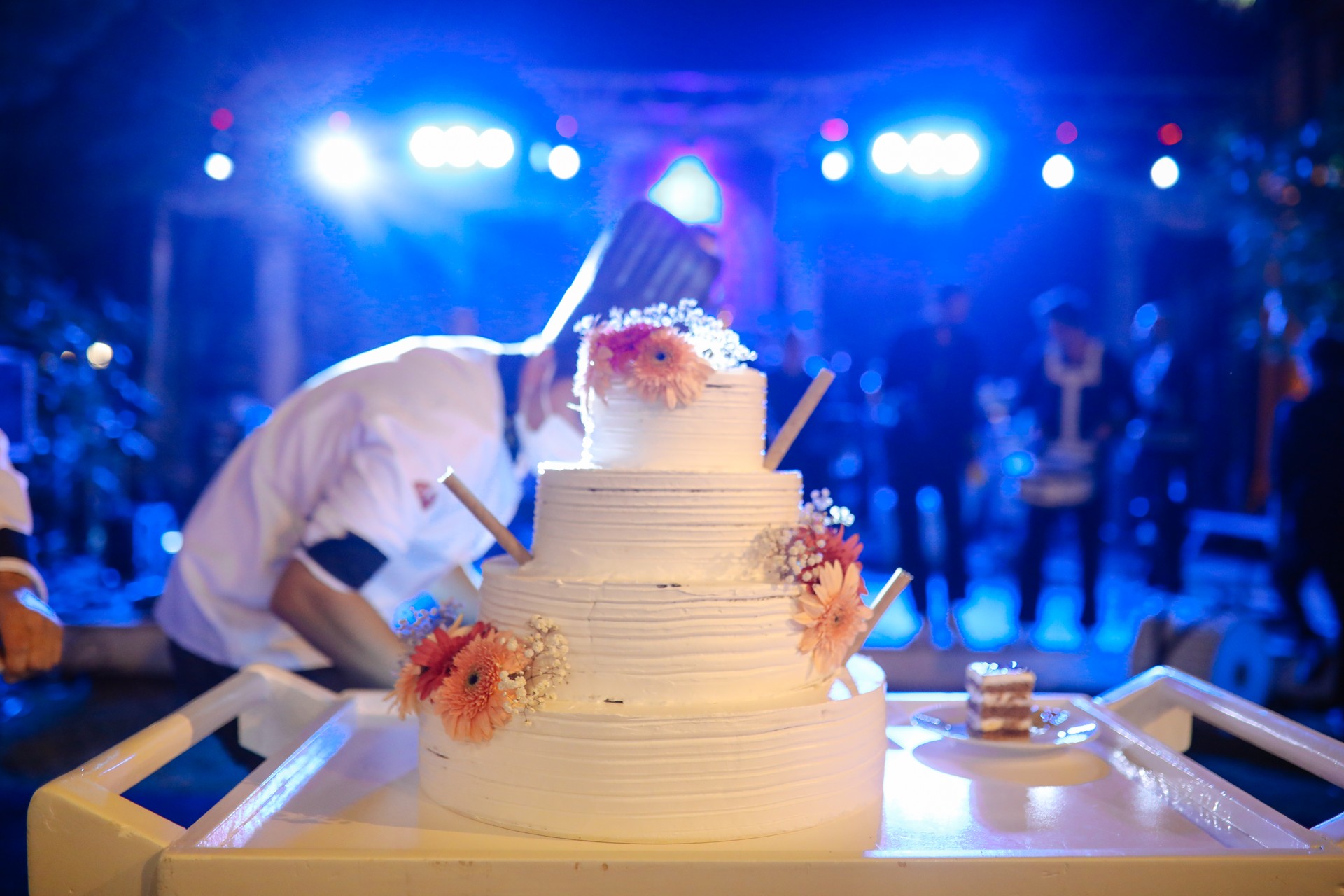 Beautiful happy couple cutting wedding cake